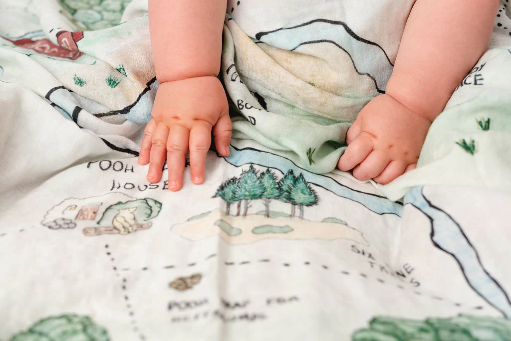 Hundred Acre Wood Swaddle Blanket - Image 7