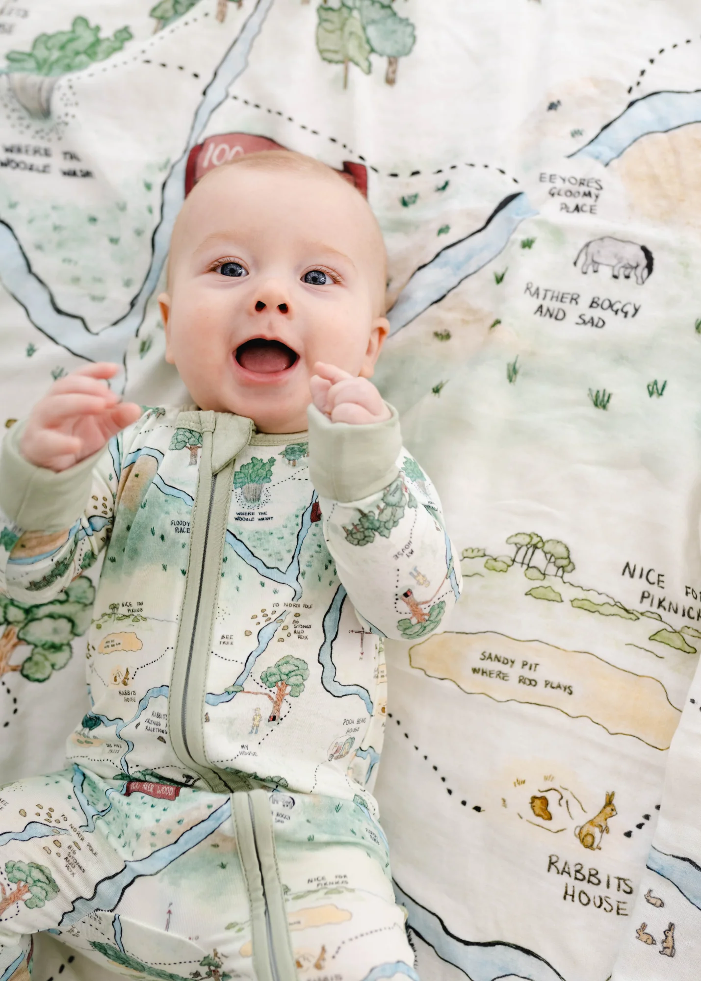 Hundred Acre Woods Bamboo Zippered Sleeper - Image 7