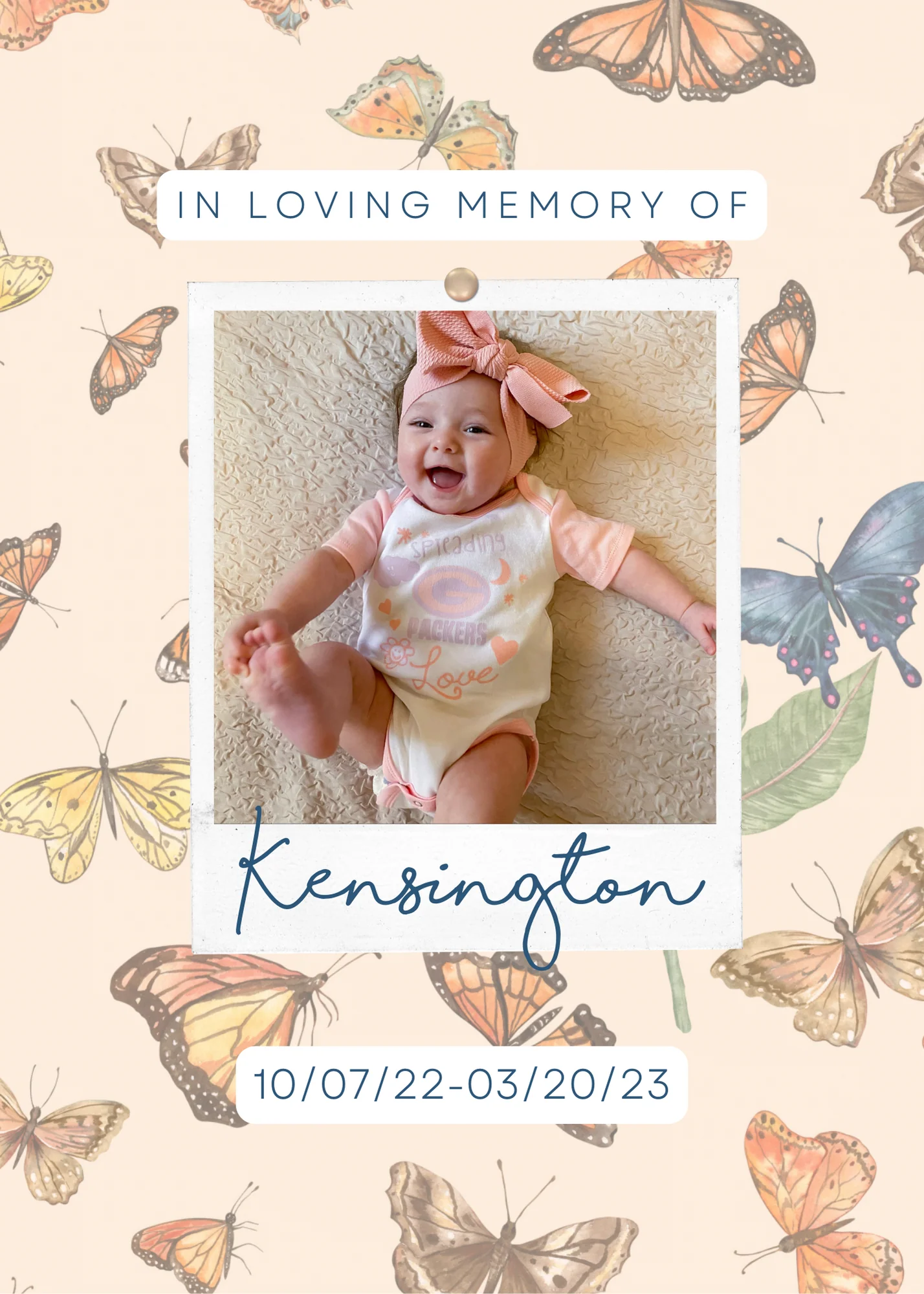 Kensington's Butterflies Bamboo Crib Sheet - Image 5